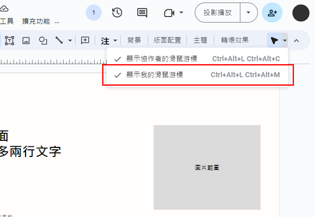 調整是否要顯示自己的滑鼠游標